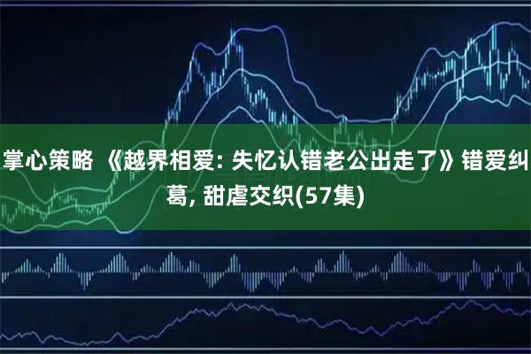 掌心策略 《越界相爱: 失忆认错老公出走了》错爱纠葛, 甜虐交织(57集)
