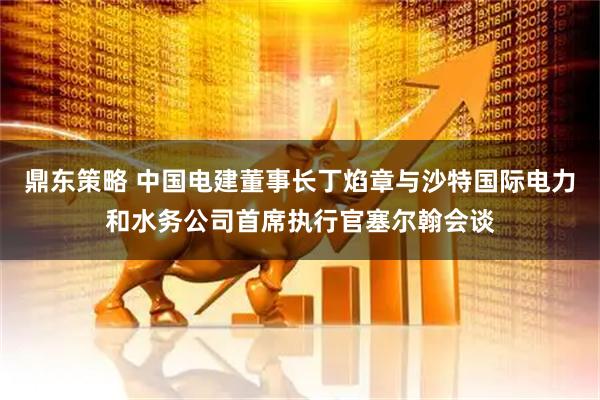 鼎东策略 中国电建董事长丁焰章与沙特国际电力和水务公司首席执行官塞尔翰会谈