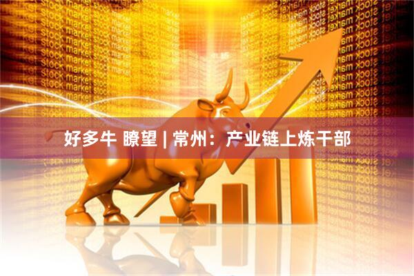 好多牛 瞭望 | 常州：产业链上炼干部